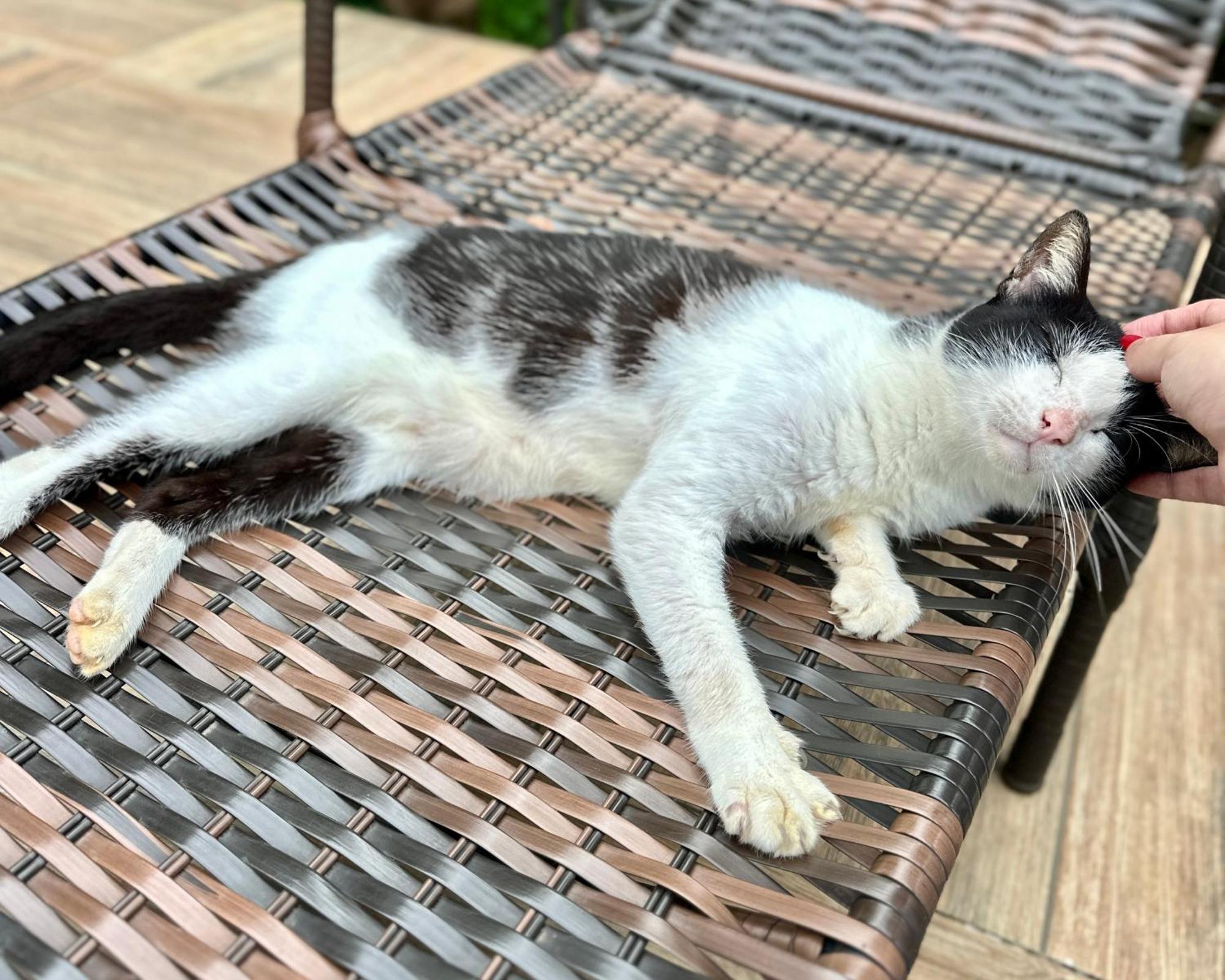 Casa Park Villa Paraty Ngoại thất bức ảnh