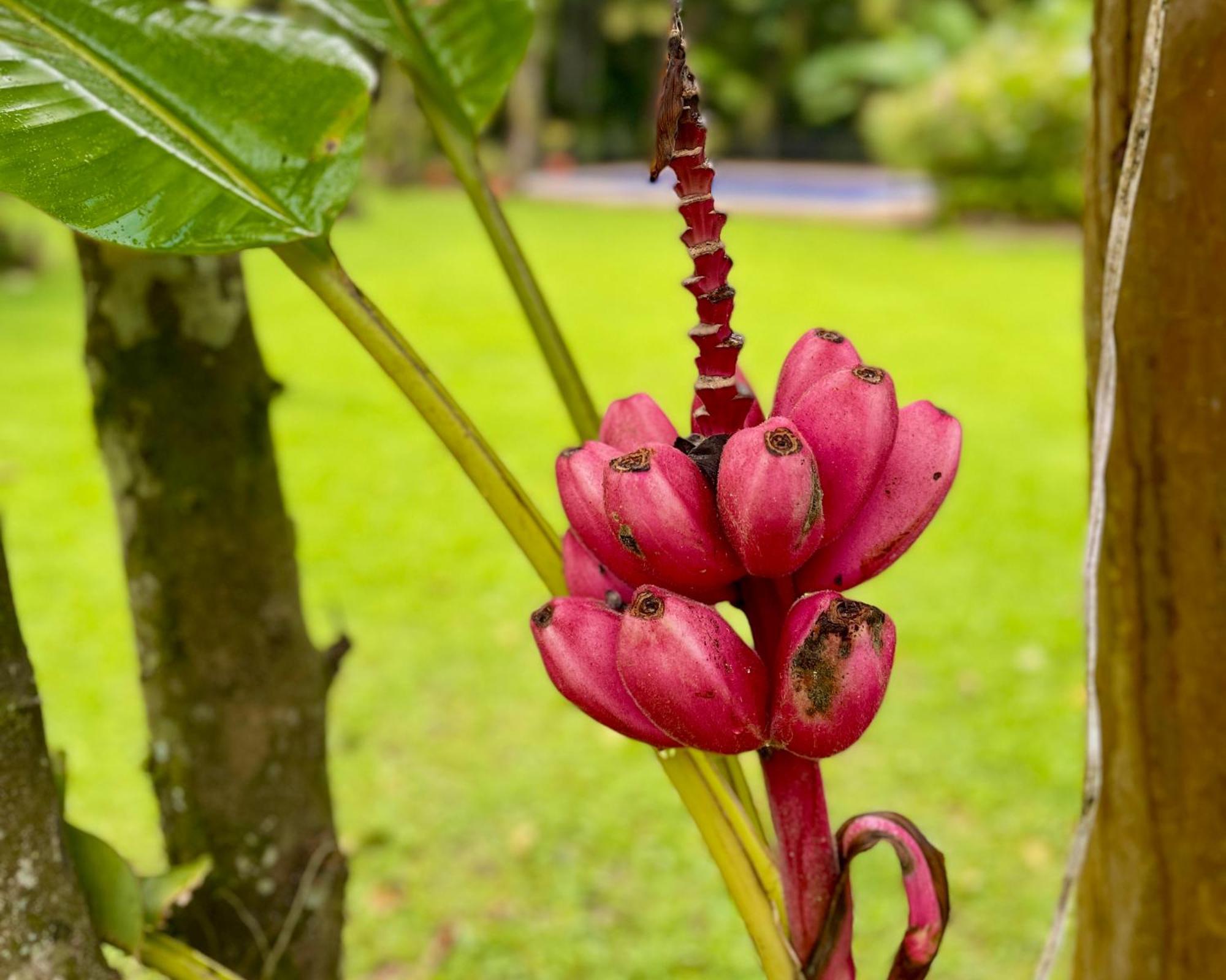 Casa Park Villa Paraty Ngoại thất bức ảnh