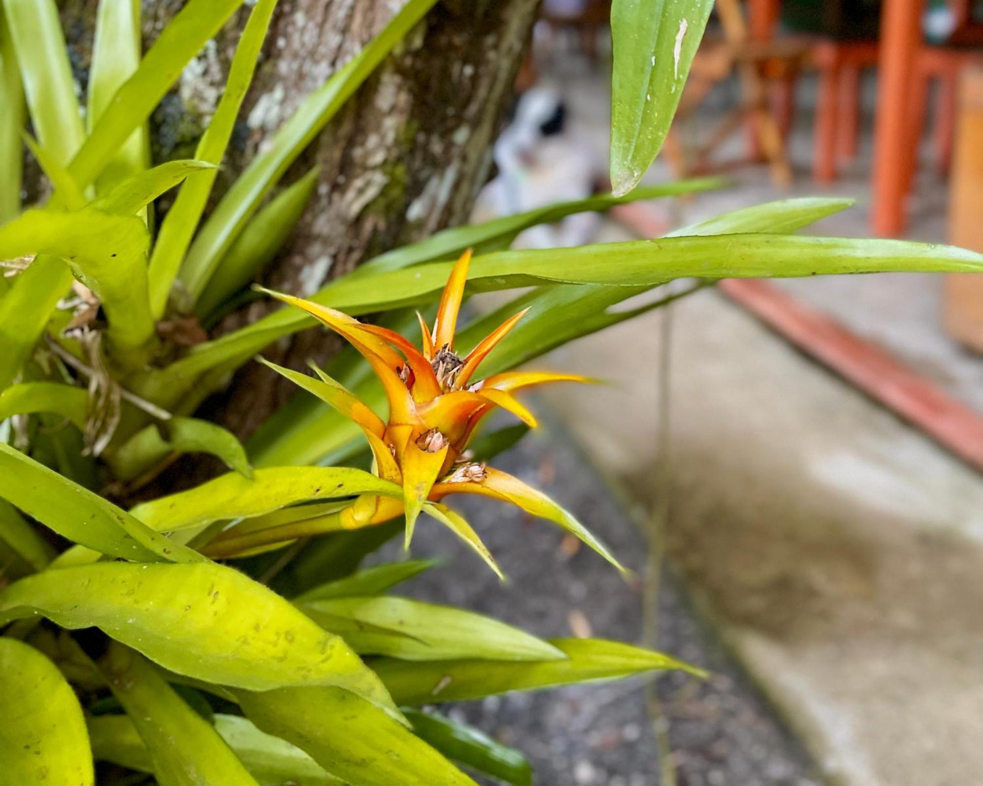 Casa Park Villa Paraty Ngoại thất bức ảnh